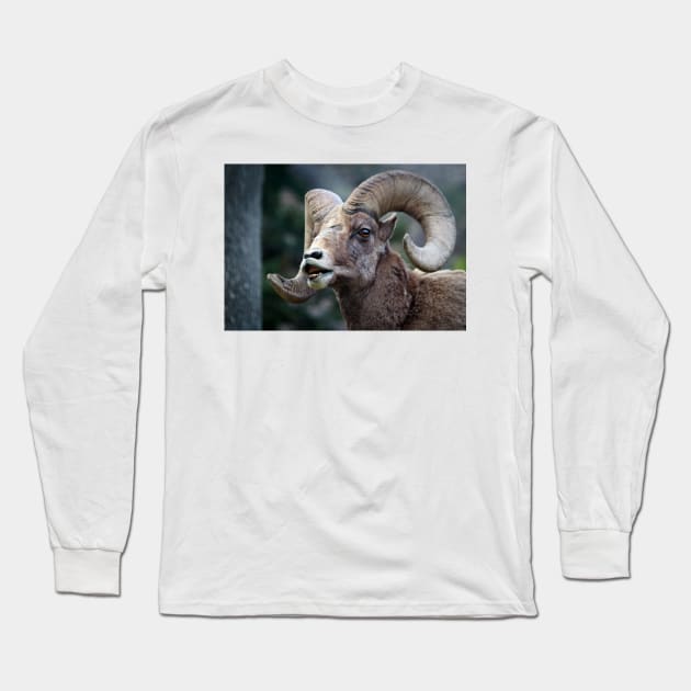 Bighorn sheep. Long Sleeve T-Shirt by valentina9
